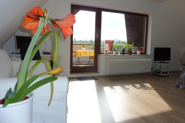 holiday flat in Bad Soden am Taunus 3