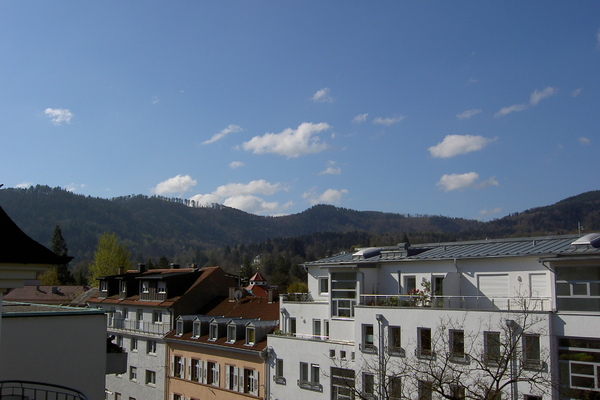 holiday flat in Baden-Baden 10