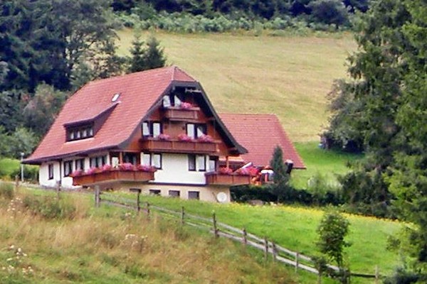 holiday flat in Baiersbronn 1