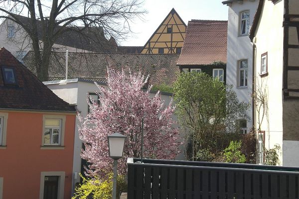 holiday flat in Bamberg 6
