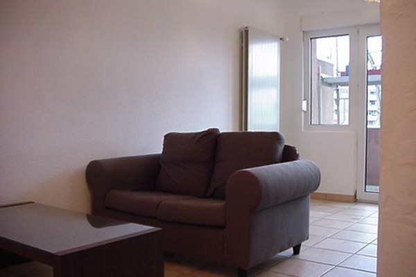 holiday flat in Basel 2