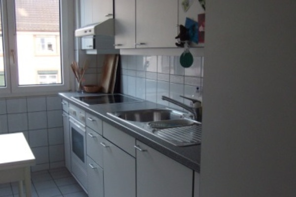 holiday flat in Basel 3