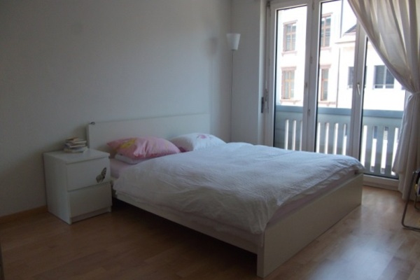 holiday flat in Basel 1