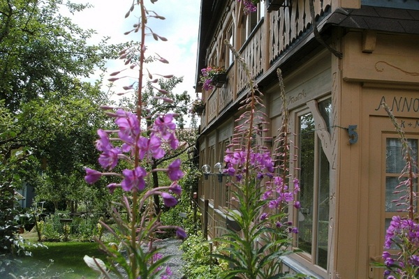 holiday flat in Bernau 3