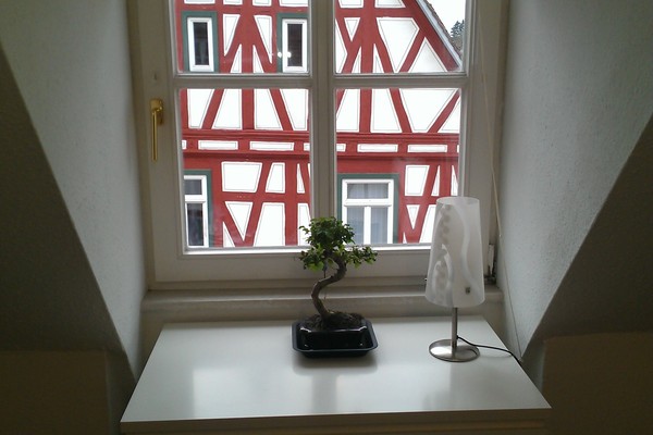 holiday flat in Erligheim 8
