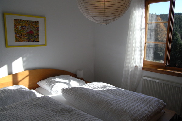 holiday flat in Feldberg 4
