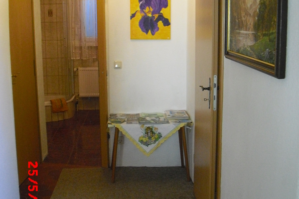 holiday flat in Zschiesewitz 10