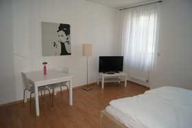 Zentral gelegene in Wohnung in Graz