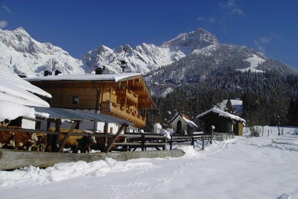 holiday flat in Maria Alm am Steinernen Meer 1