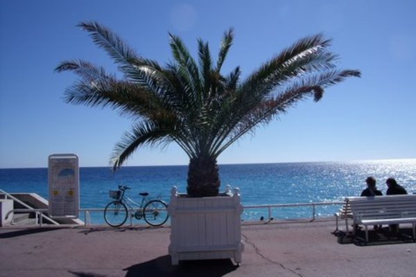 holiday flat in Nice 1