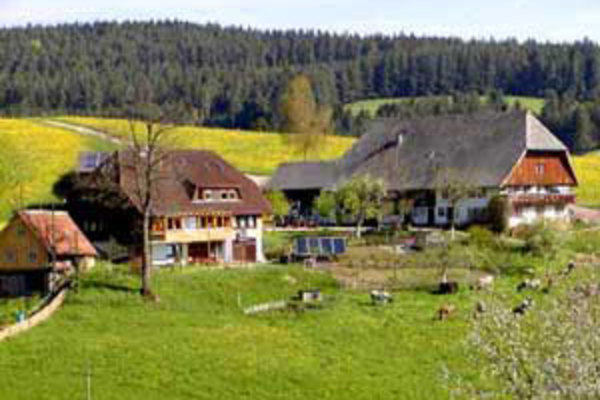 holiday flat in Schramberg 1