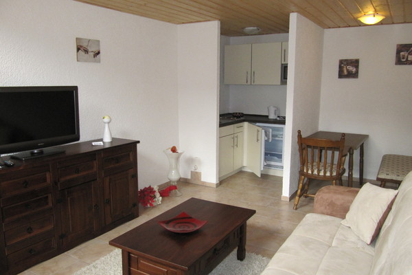 holiday flat in Tanne 3