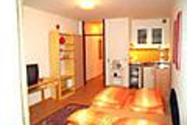 holiday flat in Trier 4