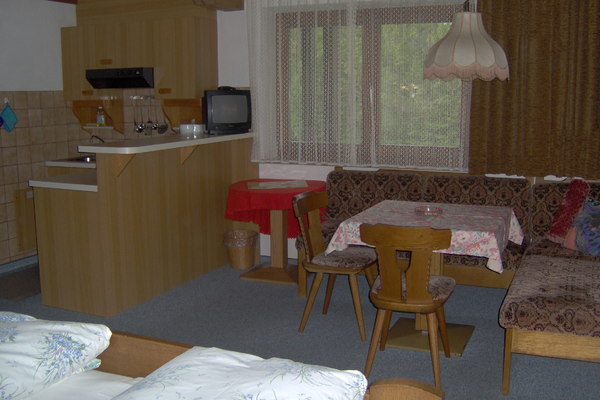 holiday flat in Walchsee 13