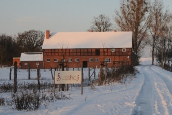 house in Werben 13