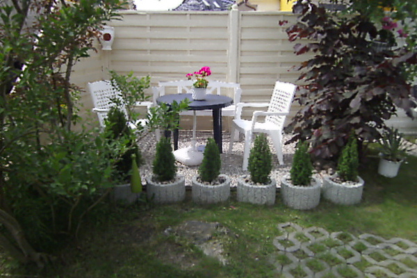 bed and breakfast in Zingst 6