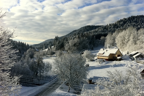holiday flat in Alpirsbach 11