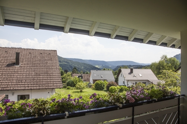 holiday flat in Alpirsbach 10