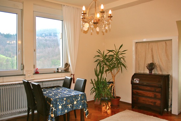 holiday flat in Baden-Baden 3