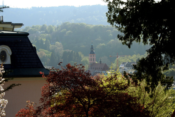 holiday flat in Baden-Baden 19