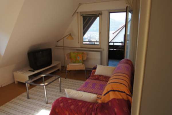 holiday flat in Baiersbronn 3