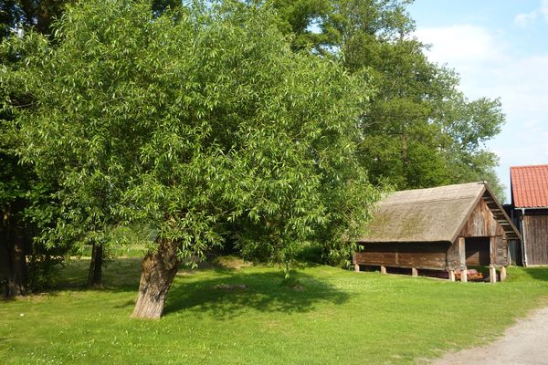 bed and breakfast in Burg 25