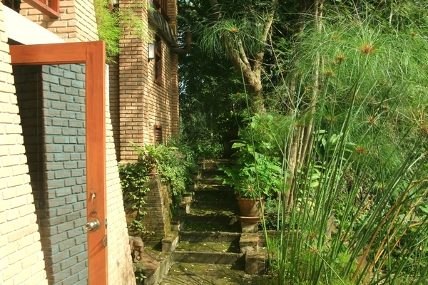 house in Chiang Mai 15