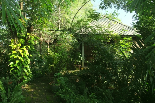 house in Chiang Mai 4