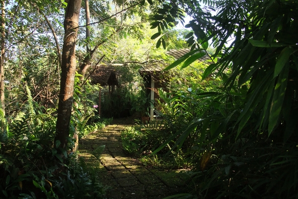 house in Chiang Mai 6