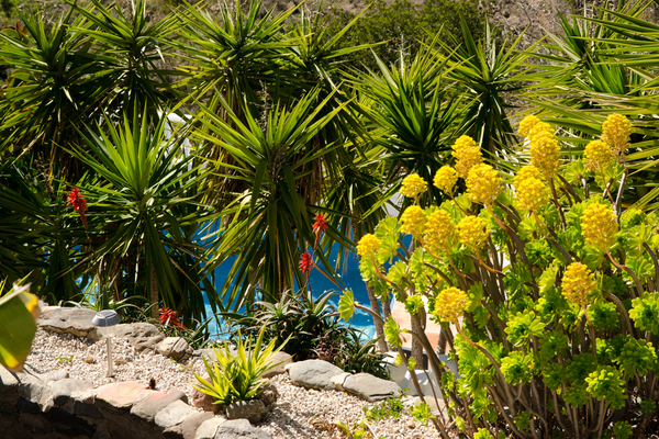 bed and breakfast in Comares 8