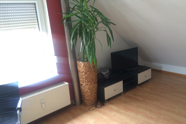 holiday flat in Coswig 2