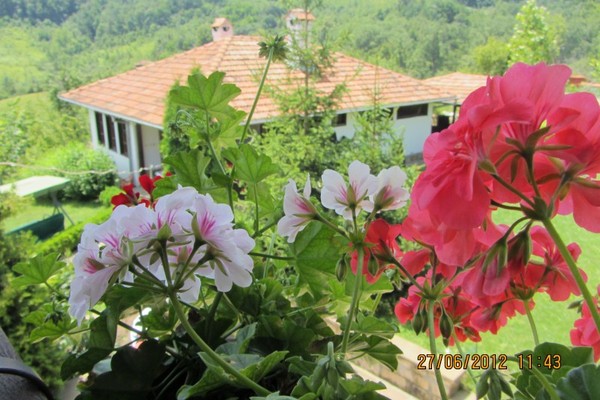 house in Badevtsi 8