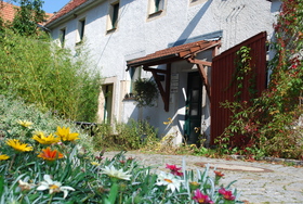 grüne Idylle im Dresdener Süden :-)