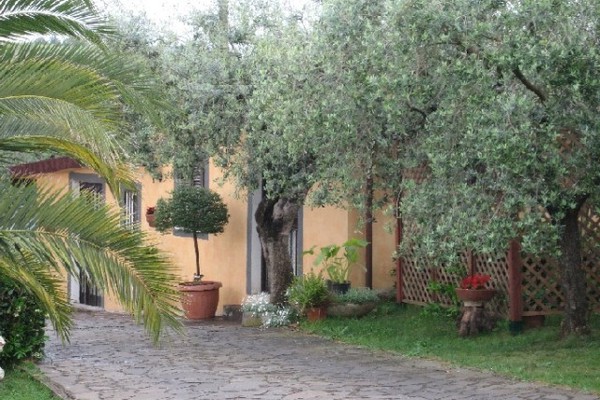 holiday flat in Frascati 5