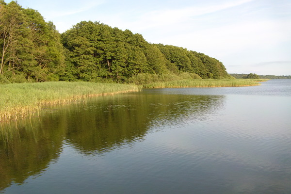 holiday flat in Müritz 9