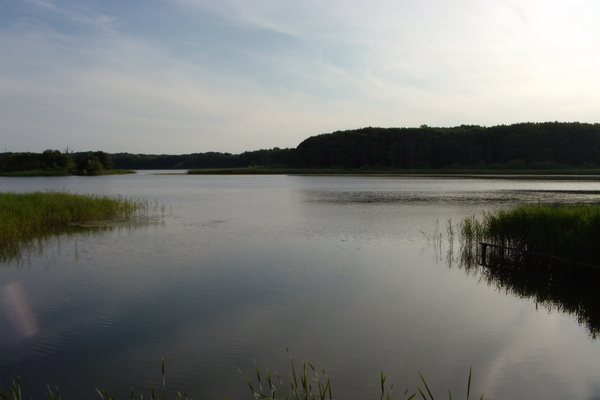 holiday flat in Müritz 21