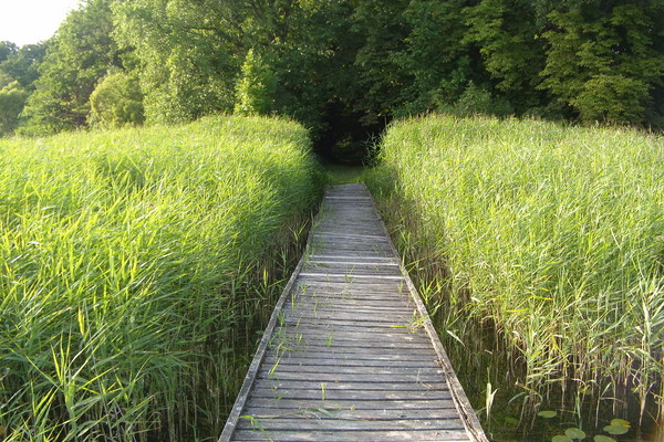 holiday flat in Müritz 24