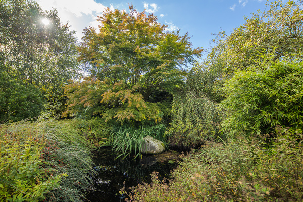 bed and breakfast in Hoisdorf 22