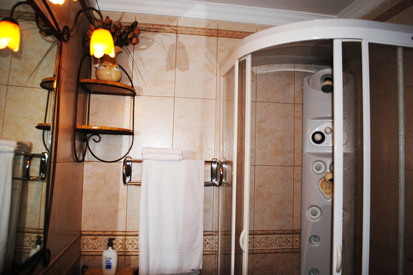 holiday flat in Icod de los Vinos 8