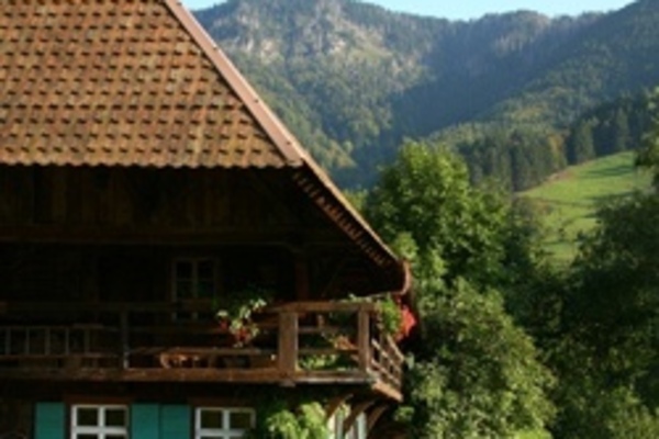 holiday flat in Münstertal/Schwarzwald 3