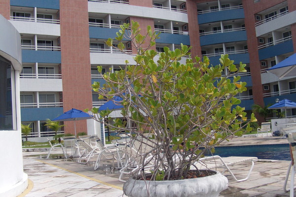 holiday flat in Natal 9