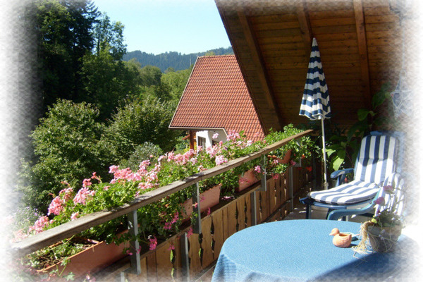holiday flat in Oberharmersbach 3