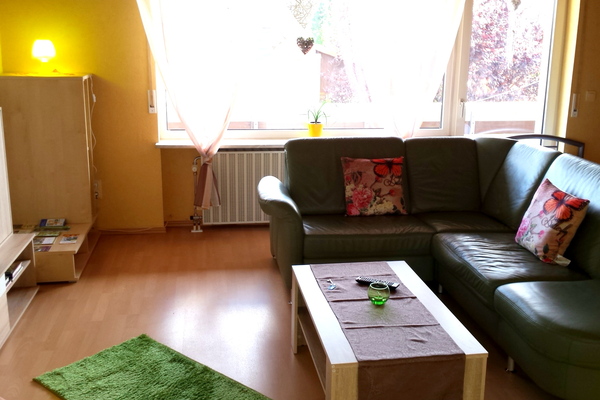 holiday flat in Pirmasens 1