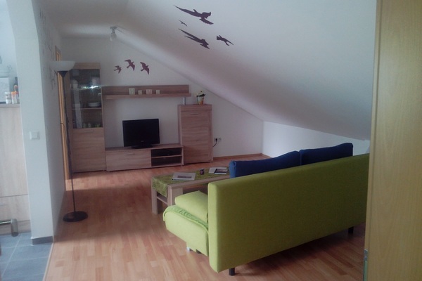 holiday flat in Pirmasens 3