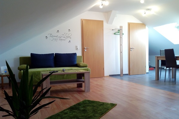 holiday flat in Pirmasens 1