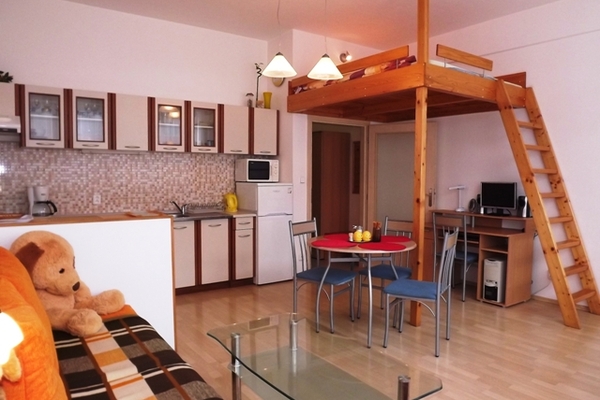 holiday flat in Praha 2