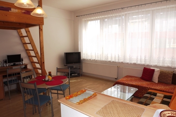 holiday flat in Praha 3