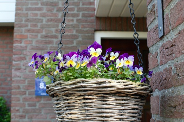 bed and breakfast in Purmerend 14