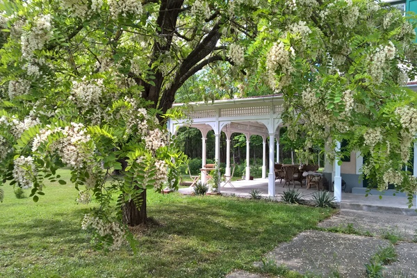 house in Répceszemere 20