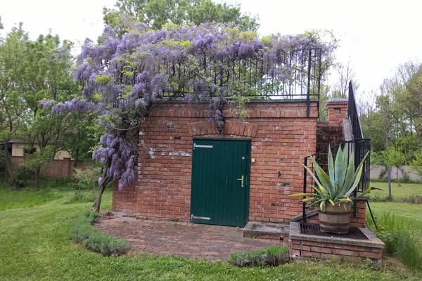 house in Répceszemere 22